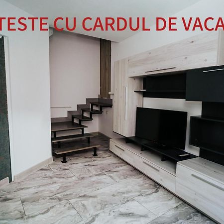 Apartment Attic Сибиу Екстериор снимка